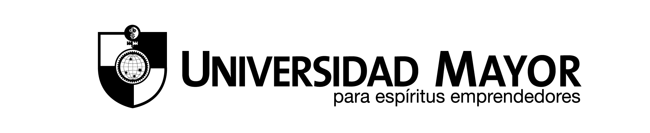 Universidad Mayor